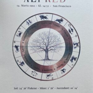 Astrologisk horoskop print